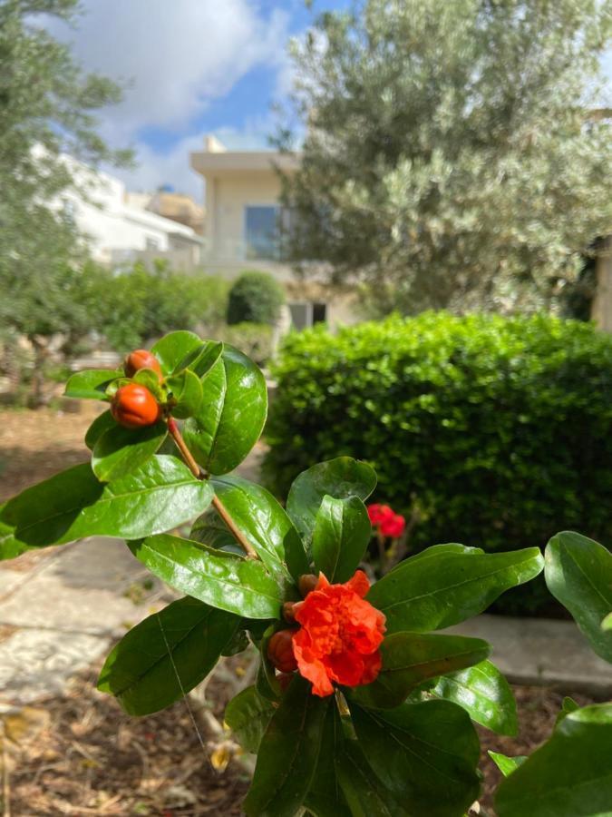 Maltese Garden Villa Моста Екстериор снимка